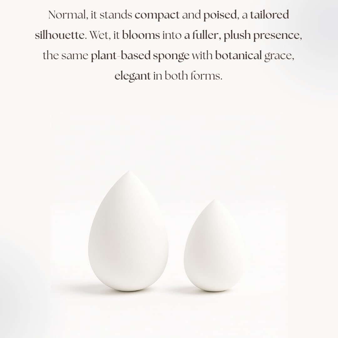 Pearl Beauty Sponge - Plant-Based, Eco-Friendly, Cruelty-Free, Dye-Free & Latex-Free Blender, Biodegradable & Natural Makeup Sponge, Makeup Blender, Perfect for Liquid & Powder (3 Count)